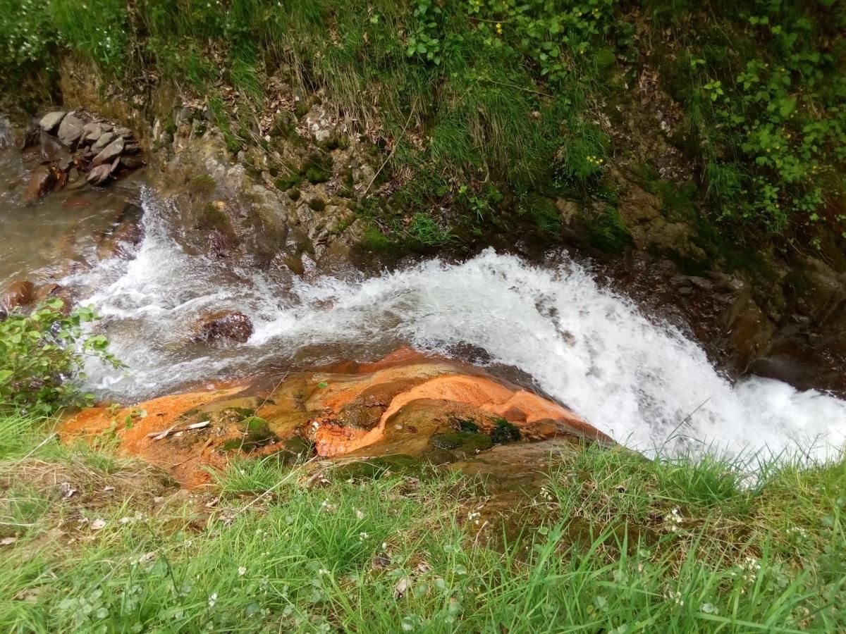 Кемпинги Wild Bay Camping Paravneshi-32